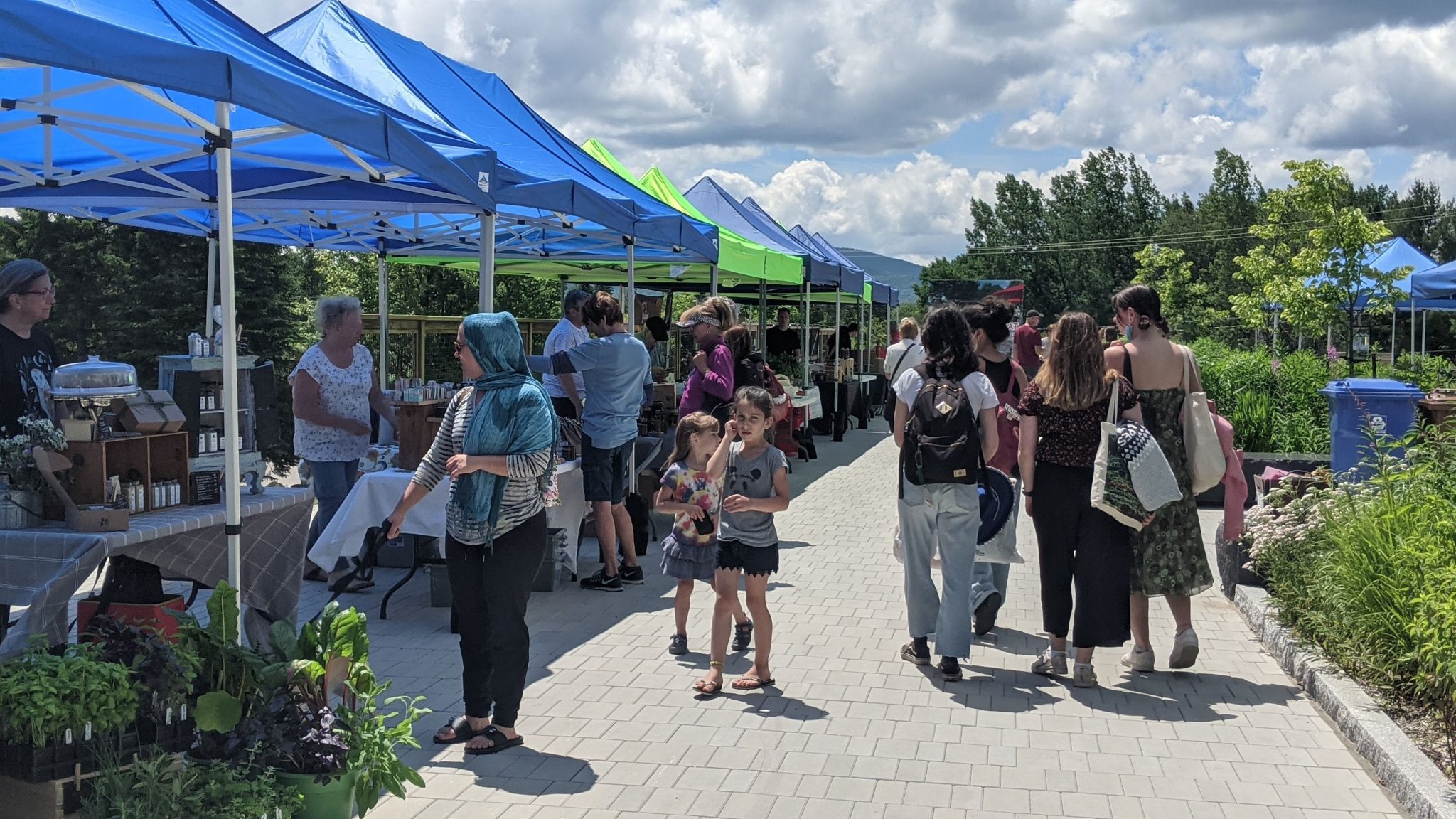 Marché des découvertes Municipalité de Saint Donat