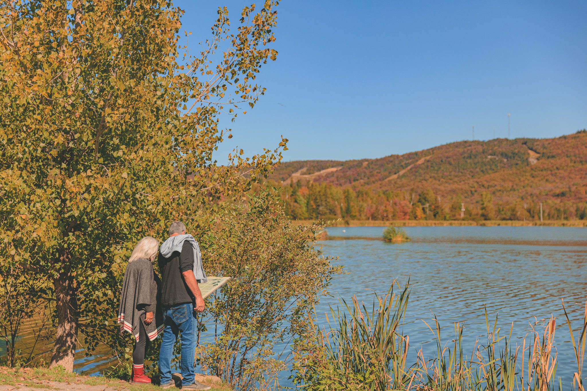 Quoi faire à SaintDonat Municipalité de Saint Donat